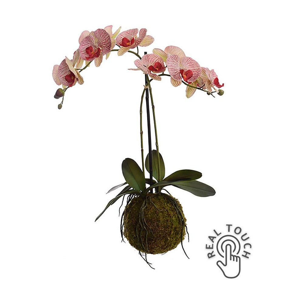 Burgundi-zöld színárnyalatú mű orchidea.