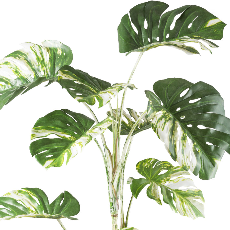 MONSTERA VARIEGATA zöld fehér foltos mű könnyezőpálma 160 cm