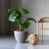 120 cm magas mű Monstera dekoratív kaspóban modern nappali enteriőrben