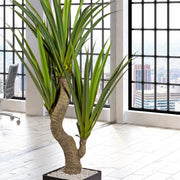 Zöld színű levelű, agave műnövény, fekete műanyagkaspóban.