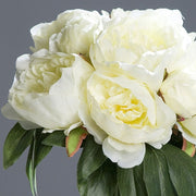 7 darab, krémszínű virágból álló, mű bazsarózsacsokor,