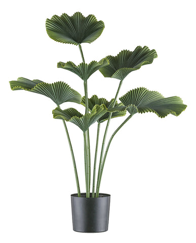 Zöld színű bokorpálma műnövény, fekete műanyag kaspóban.