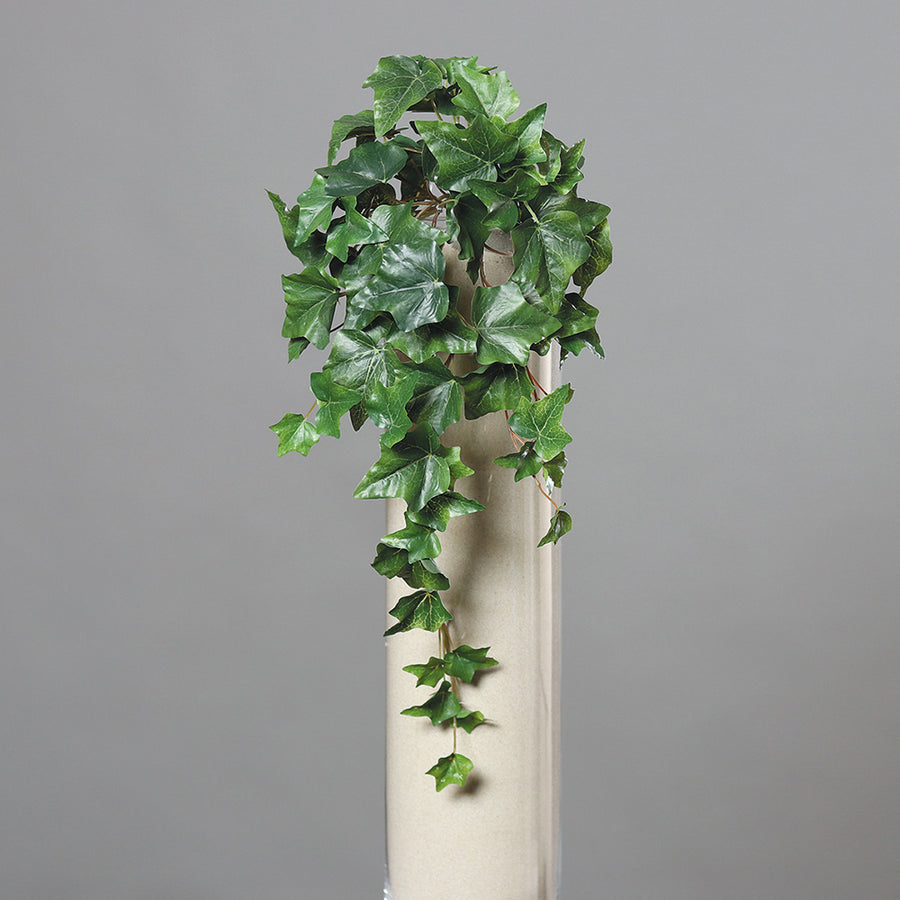 Zöld színű borostyán csüngő műnövény.