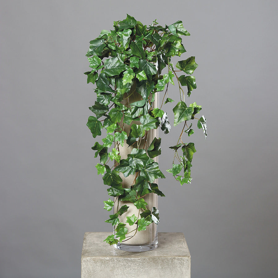 Zöld színű borostyán csüngő műnövény.