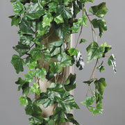 Zöld színű borostyán csüngő műnövény.
