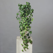 Zöld színű borostyán csüngő műnövény.