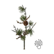 Zuzmóval borított, mű cédrusfenyőág.