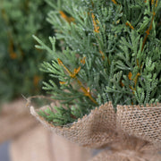 Dús kialakítású, mű dekor tujabokor, natúr színű jutazsákban.