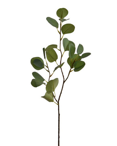 Zöld színárnyalatú eukaliptusz ág műnövény.