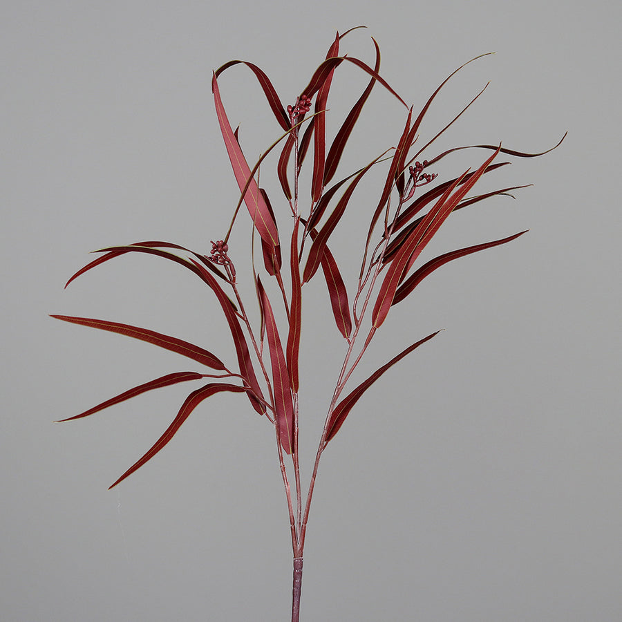 Bordó színű eukaliptusz ág műnövény.