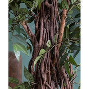 Dús lombozatú, mű fikusz cserje, fekete műanyag kaspóban.