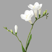 Fehér színű, 2 ágú frézia művirág.