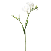 Fehér színű, 2 ágú frézia művirág.