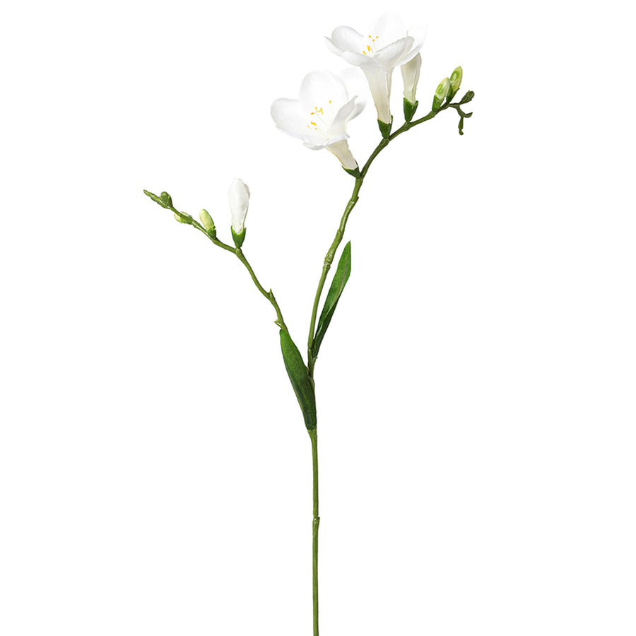 Fehér színű, 2 ágú frézia művirág.