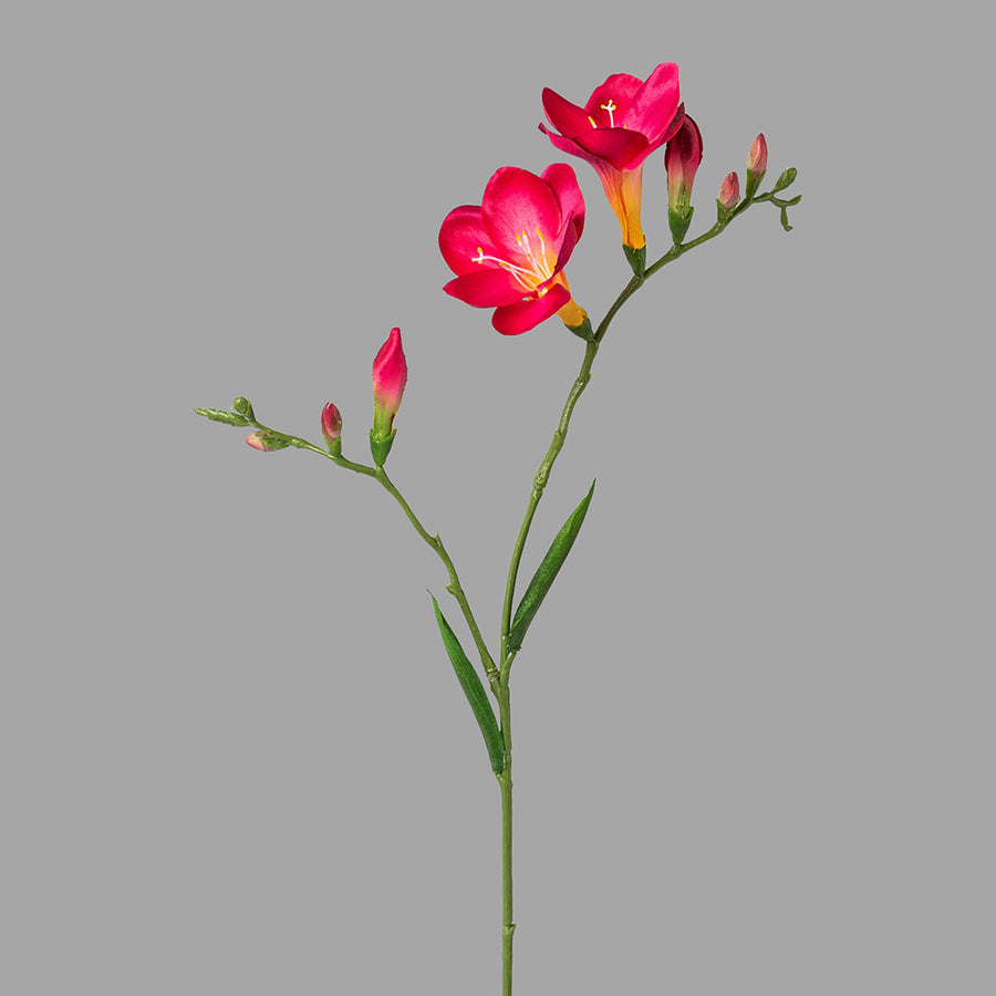 Fuksziaszínű, 2 ágú frézia művirág.