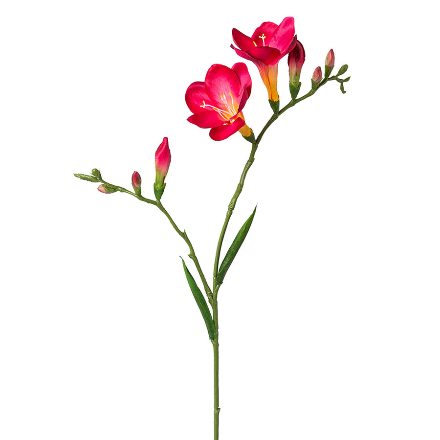 Fuksziaszínű, 2 ágú frézia művirág.