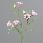 Halvány rózsaszín színű mű harangvirág.