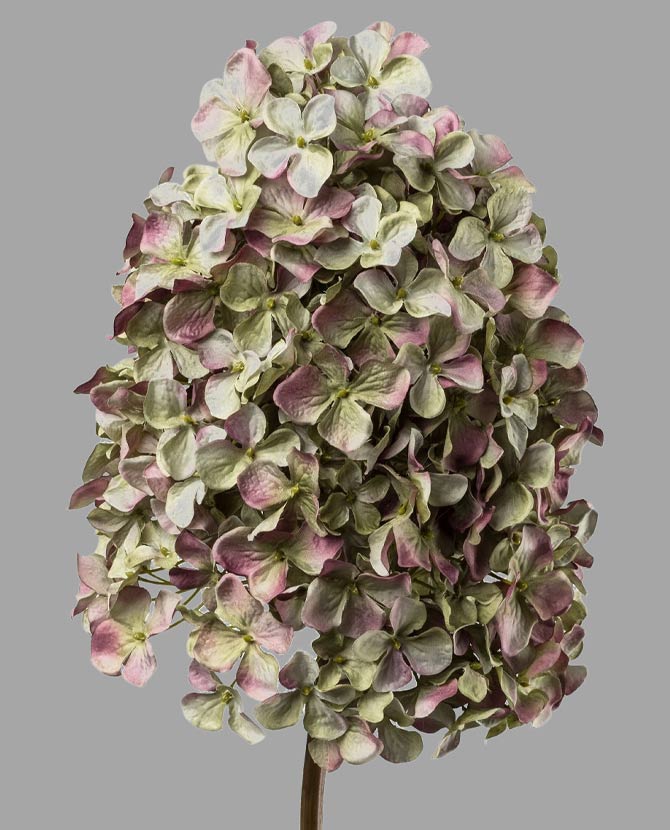 Lilászöld színű hortenzia művirág.