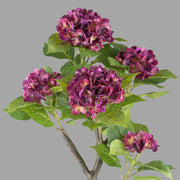 Lila színű mű hortenzia bokor.