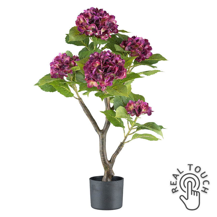 Lila színű mű hortenzia bokor.