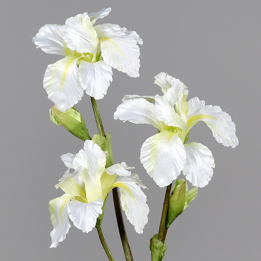 Írisz művirág 80 cm krém "Iris"