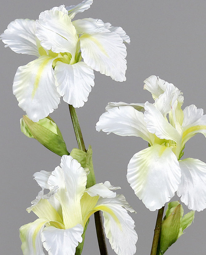 Írisz művirág 80 cm krém "Iris"