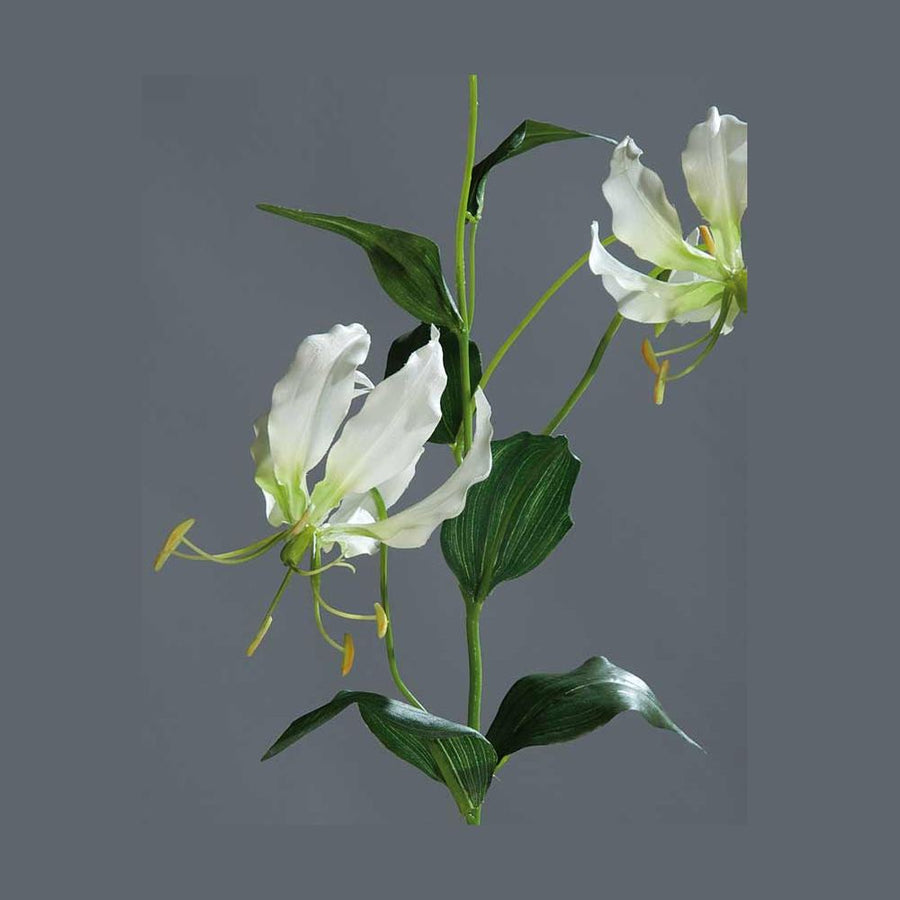 Krémszínű koronásliliom művirág.