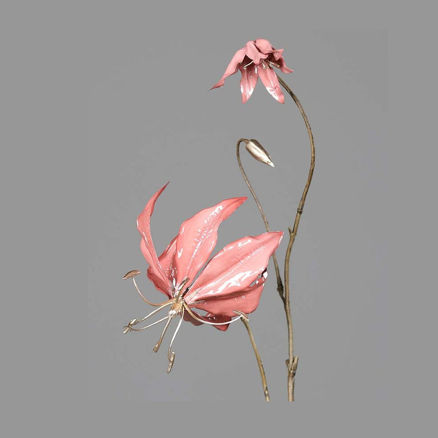 Fényes lazacszínű koronásliliom művirág.