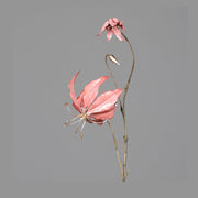 Fényes lazacszínű koronásliliom művirág.