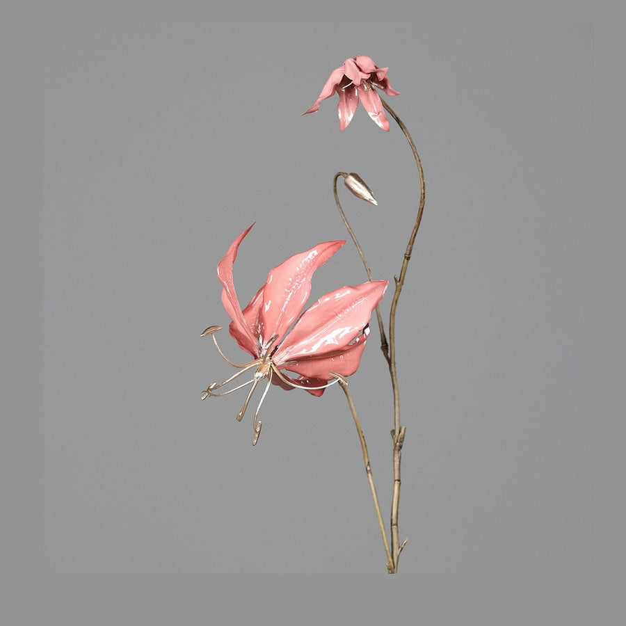 Fényes lazacszínű koronásliliom művirág.