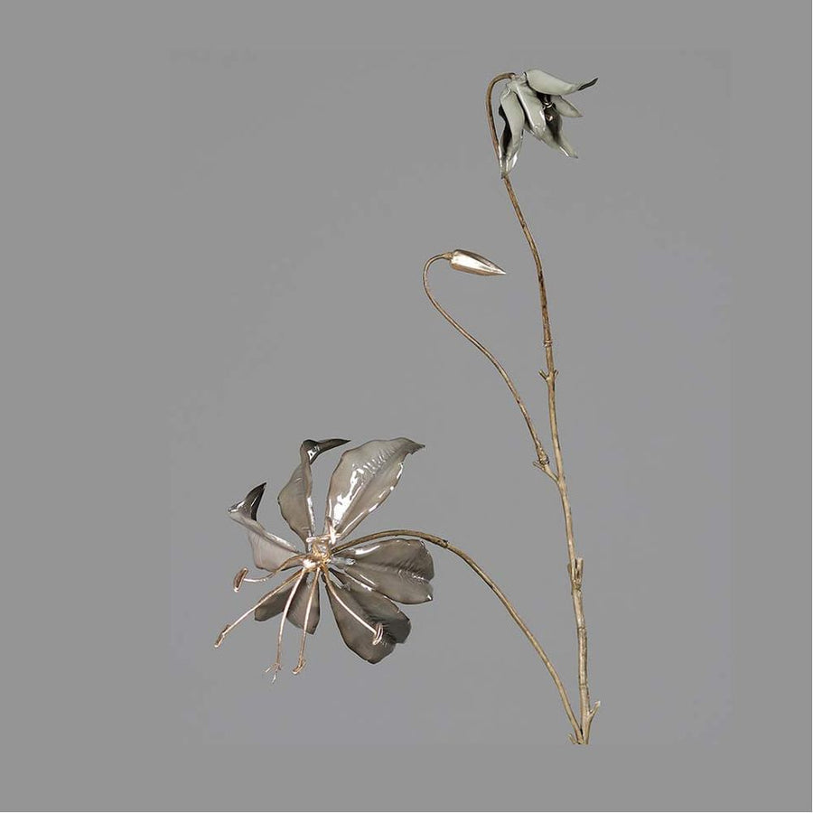 Fényes szürke színű koronásliliom művirág.