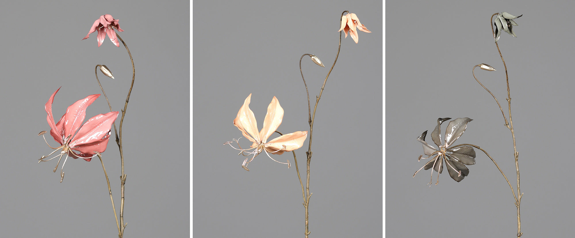 Fényes szürke színű koronásliliom művirág.