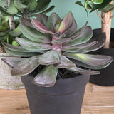 Kövirózsa műnövény cserépben Ø 22 x 20 cm lilászöld "Succulent"