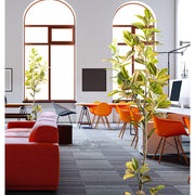 Kroton műnővény, fekete műanyag kaspóban.