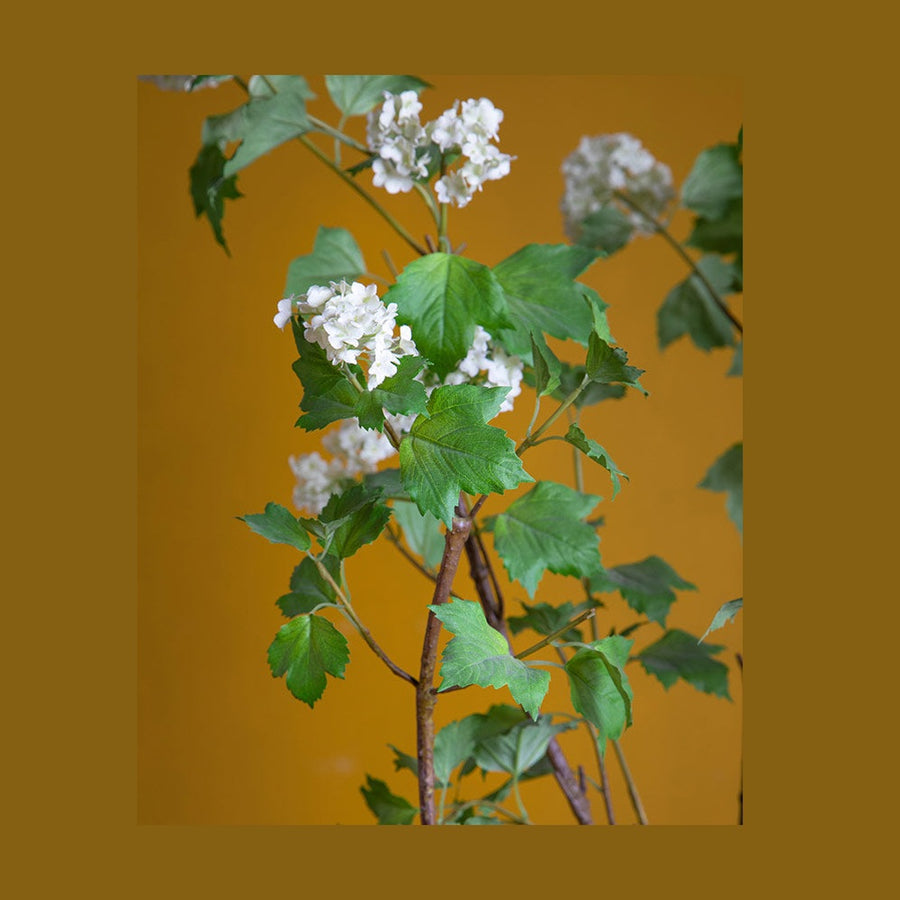 Krémszínű mű labdarózsa bokor, antikolt felületű kerámia kaspóban.