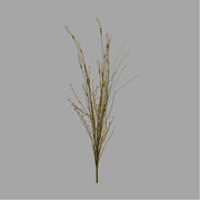 Krém színű, mezei levendula művirág.