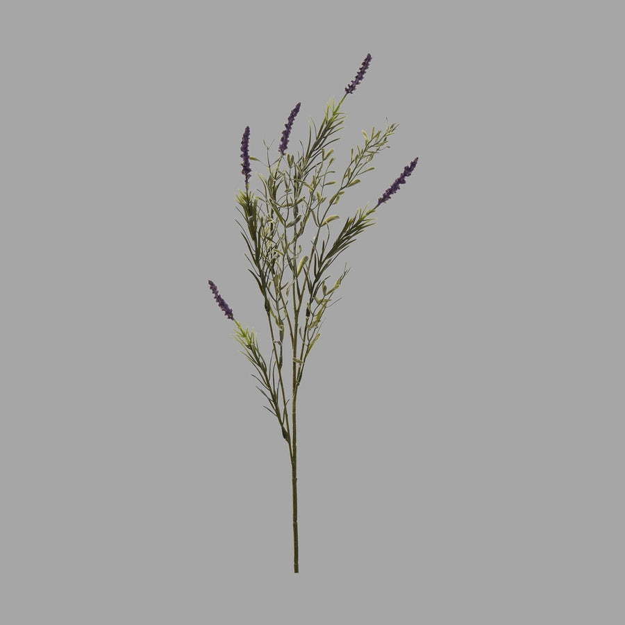 Liláskék színű, mezei levendula művirág.