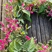 Rózsaszín virágzatú mű levendula koszorú.