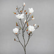 Krémszínű magnólia művirág, nyílt, bimbós és rügyező virágokkal.