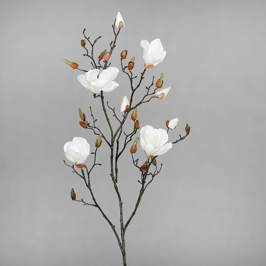 Krémszínű magnólia művirág, nyílt, bimbós és rügyező virágokkal.