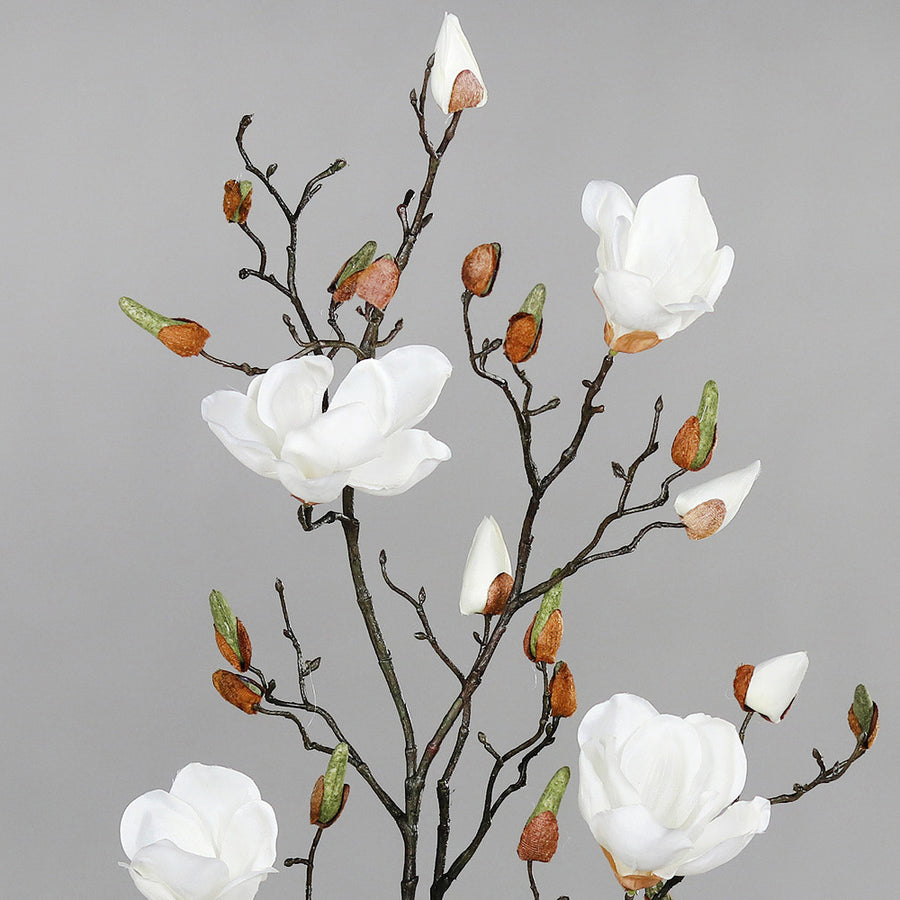 Krémszínű magnólia művirág, nyílt, bimbós és rügyező virágokkal.