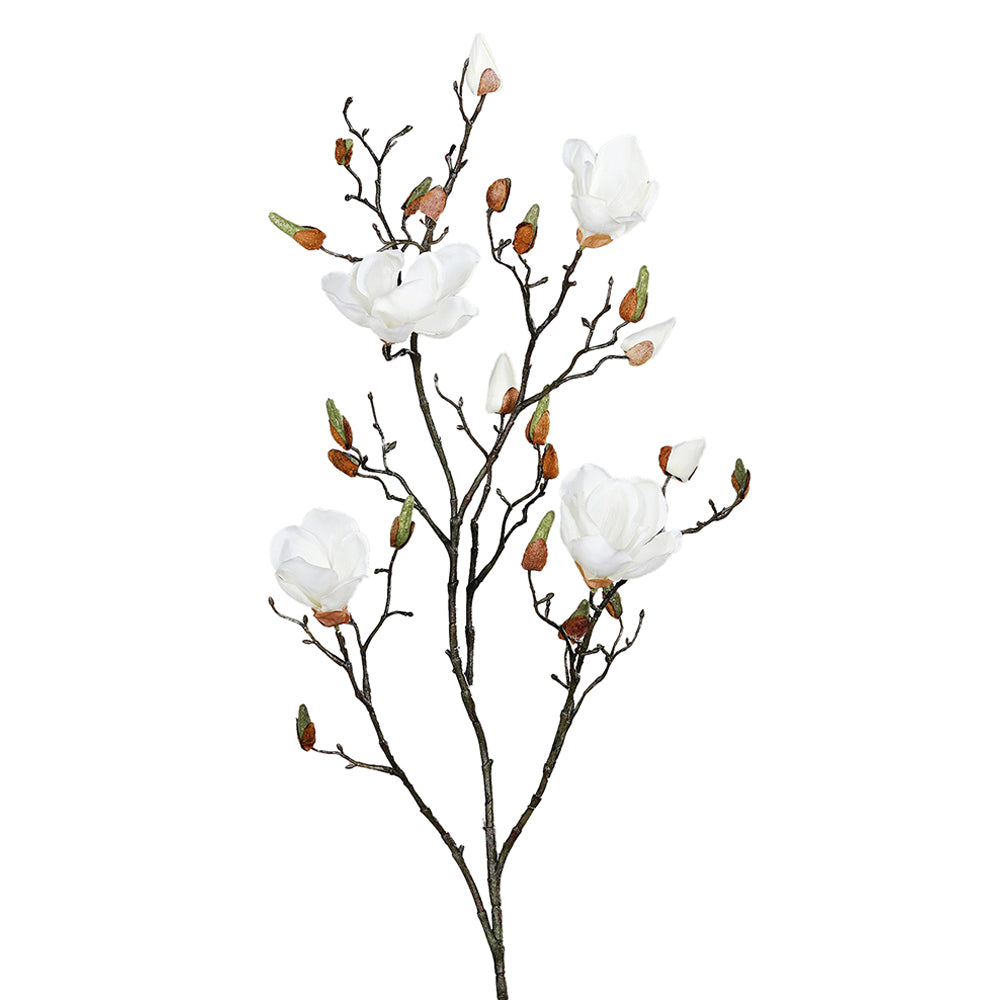Krémszínű magnólia művirág, nyílt, bimbós és rügyező virágokkal.