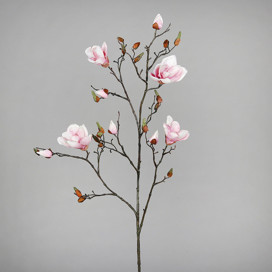 Halvány rózsaszín színű magnólia művirág, nyílt, bimbós és rügyező virágokkal.