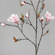 Halvány rózsaszín színű magnólia művirág, nyílt, bimbós és rügyező virágokkal.