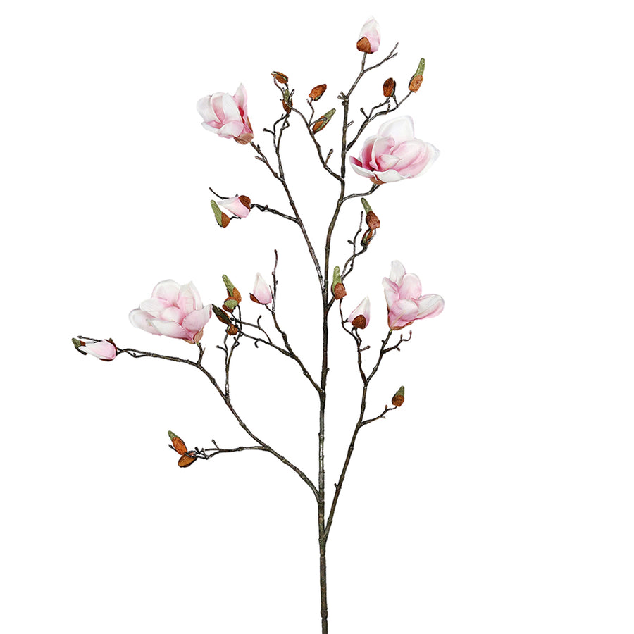 Halvány rózsaszín színű magnólia művirág, nyílt, bimbós és rügyező virágokkal.