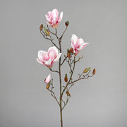 Halvány rózsaszín színű magnólia művirág, nyílt, bimbós és rügyező virágokkal.