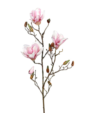 Halvány rózsaszín színű magnólia művirág, nyílt, bimbós és rügyező virágokkal.
