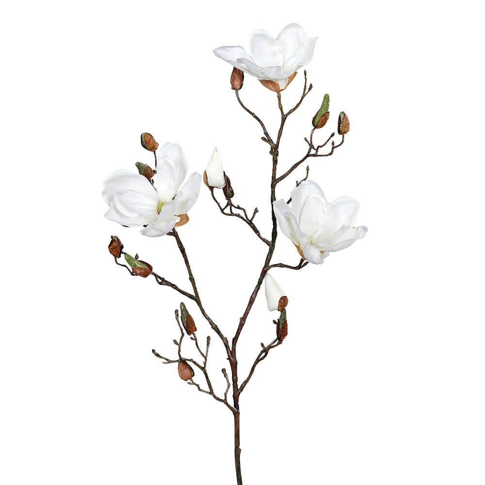 Krémszínű magnólia művirág, nyílt, bimbós és rügyező virágokkal.