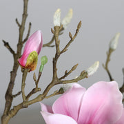 Halvány rózsaszín színű, mű magnólia kompozíció, modern formájú üvegvázában..