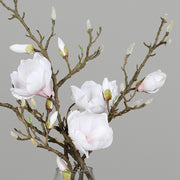 Krémszínű, mű magnólia kompozíció, modern formájú üvegvázában..